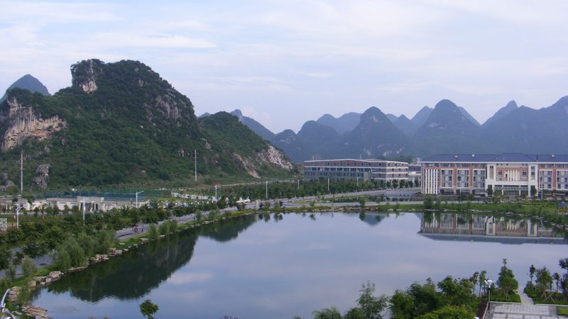 电子模块批发，报价背后的考量因素**