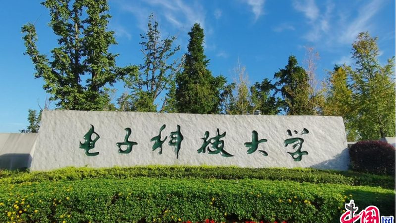 电子科技公司加盟与直营：揭秘背后的商业逻辑**